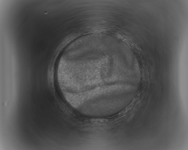 X0000100230242200806201450