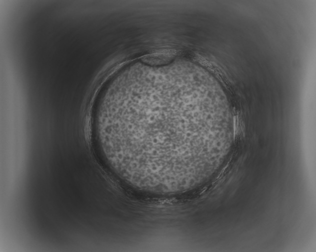 X0000100230243200806201450