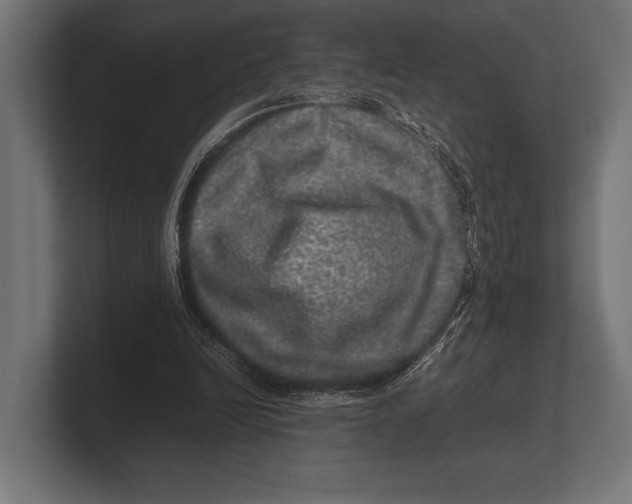 X0000100230246200806201450