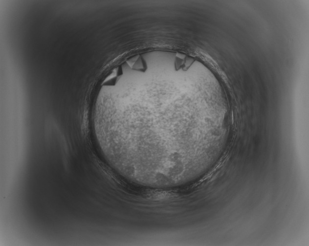 X0000100230249200806201450