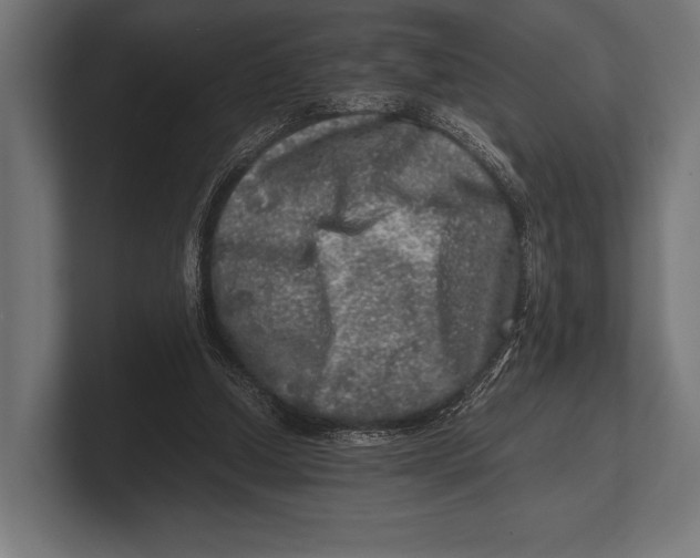 X0000100230250200806201450