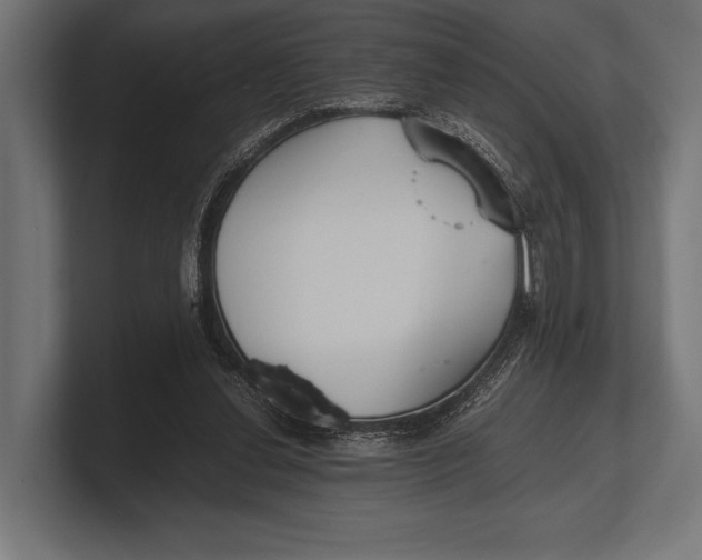 X0000100230252200806201450