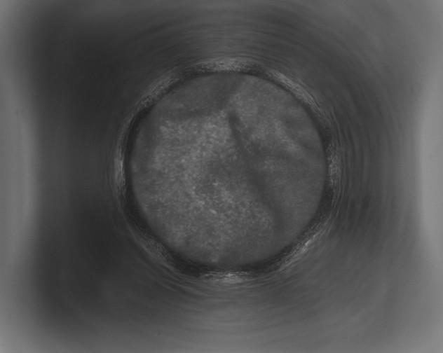 X0000100230254200806201450