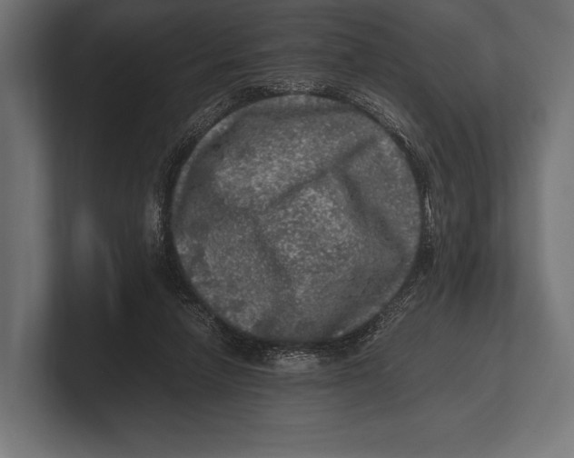 X0000100230258200806201450