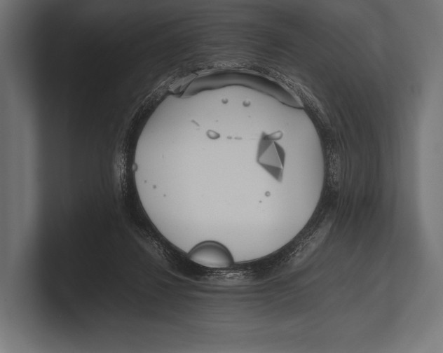 X0000100230260200806201450