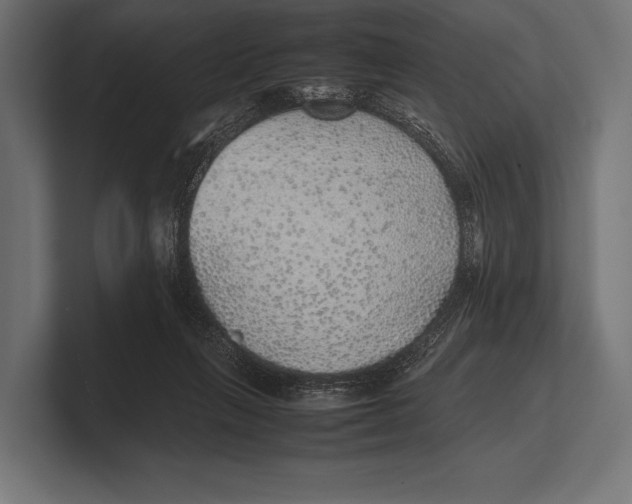 X0000100230263200806201450