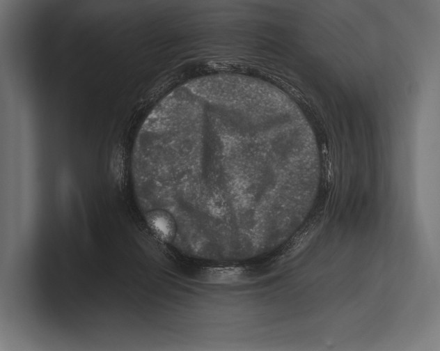 X0000100230266200806201450