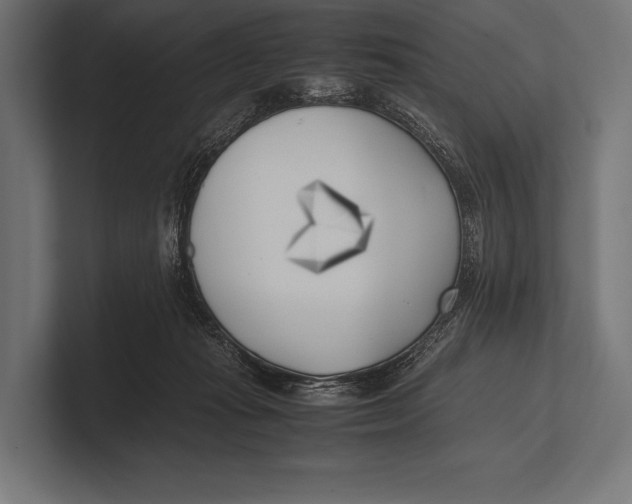 X0000100230269200806201450