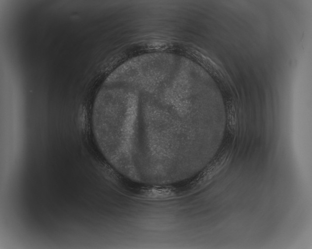 X0000100230270200806201450