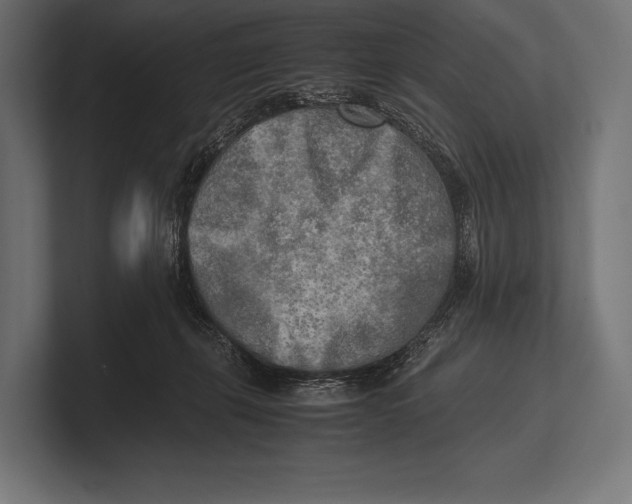 X0000100230271200806201450