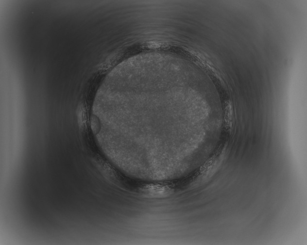 X0000100230272200806201450