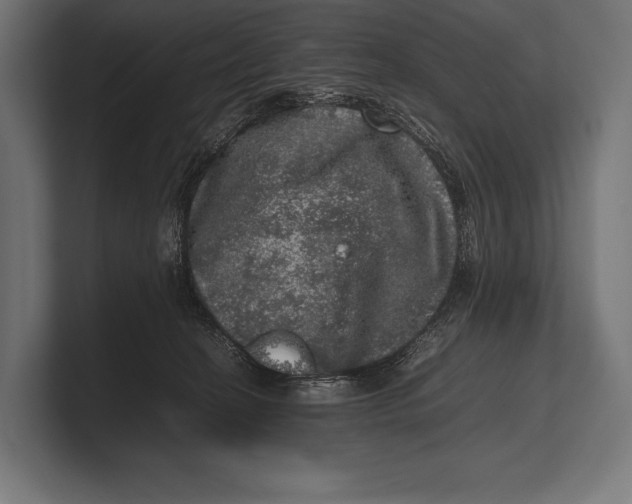 X0000100230274200806201450