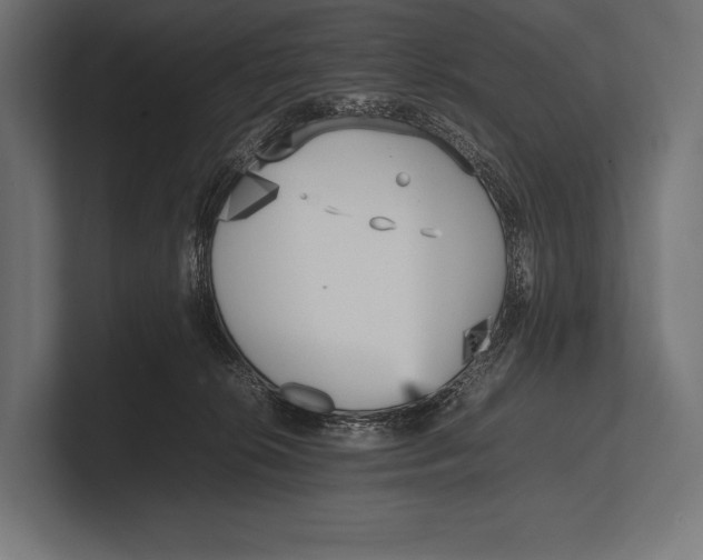 X0000100230276200806201450