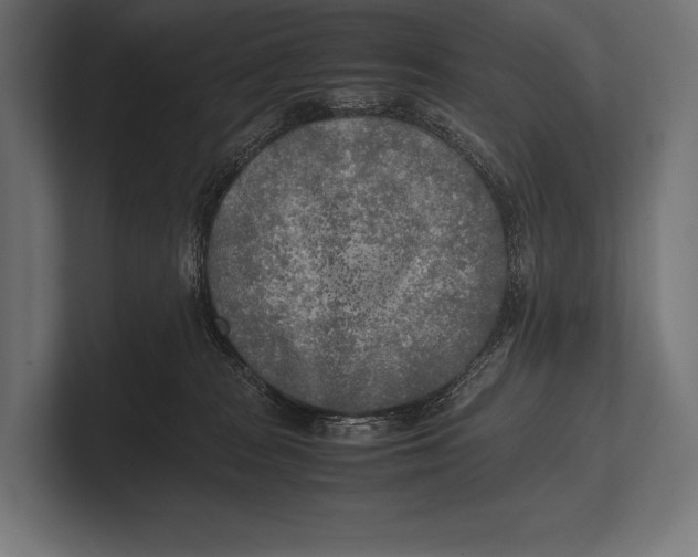 X0000100230277200806201450