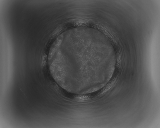 X0000100230278200806201450