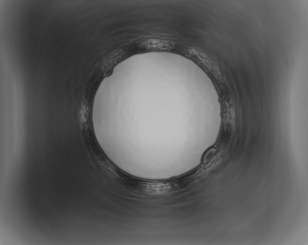 X0000100230281200806201450