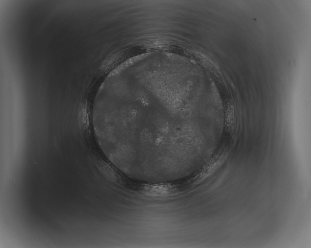 X0000100230282200806201450