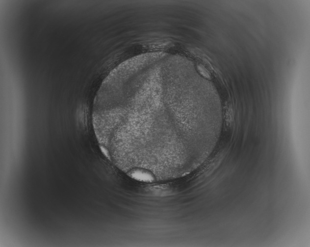 X0000100230283200806201450