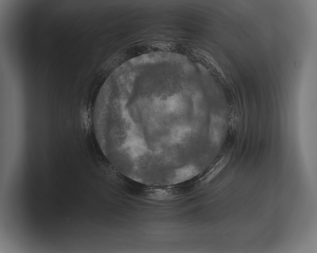 X0000100230285200806201450