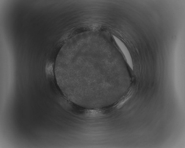 X0000100230286200806201450