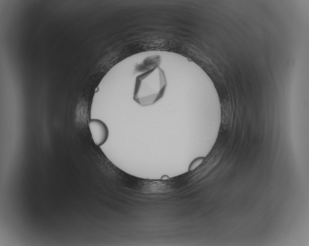 X0000100230287200806201450