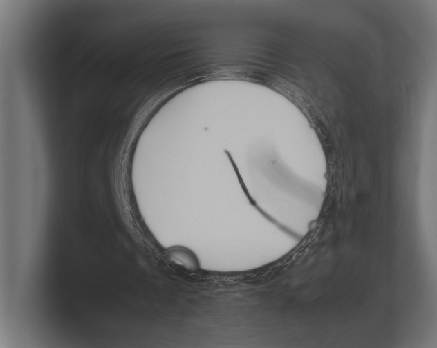 X0000100230289200806201449