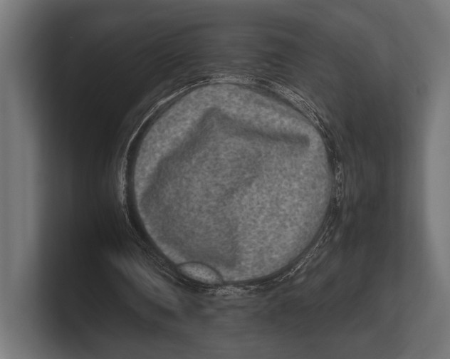 X0000100230290200806201449