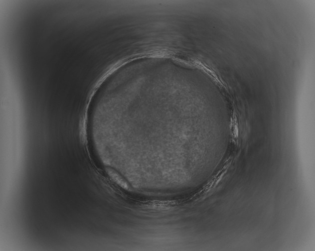 X0000100230292200806201449