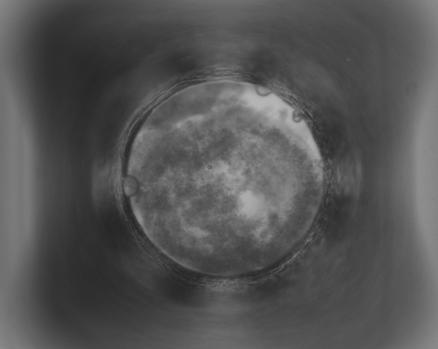 X0000100230293200806201449