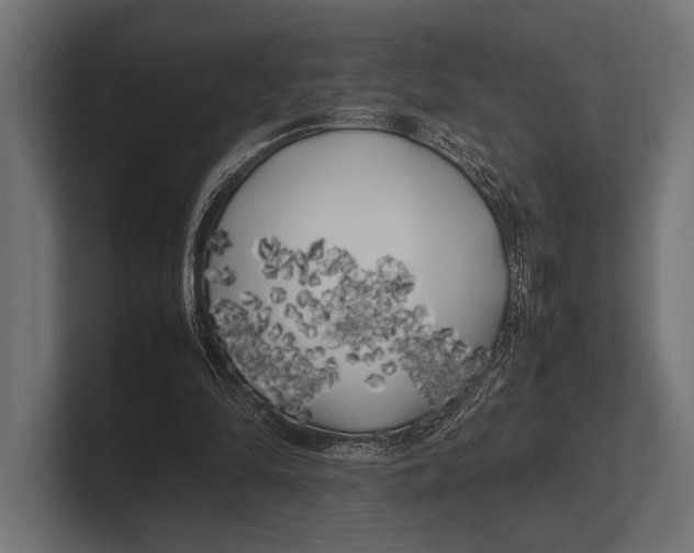 X0000100230294200806201449