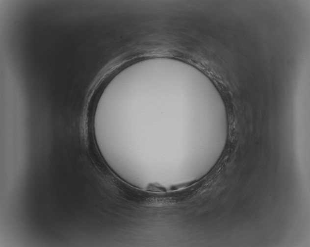 X0000100230296200806201449