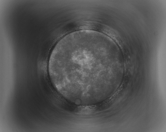 X0000100230297200806201449