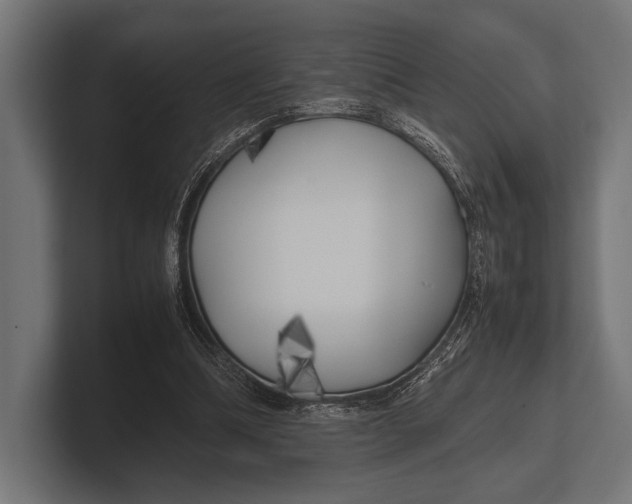 X0000100230298200806201449