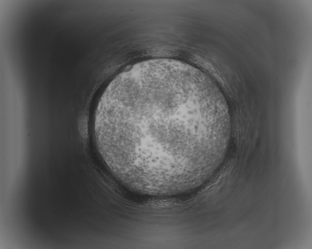 X0000100230299200806201449