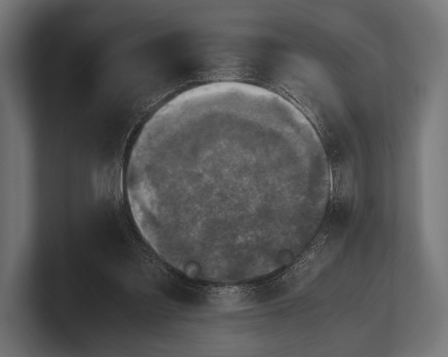 X0000100230301200806201449