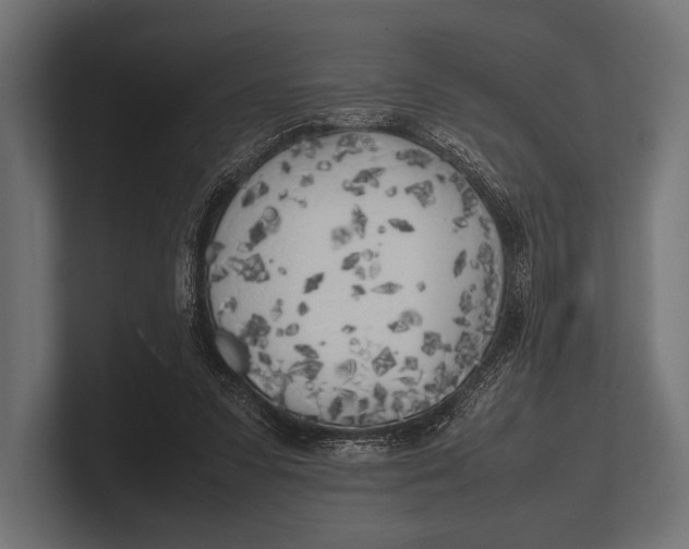 X0000100230303200806201449