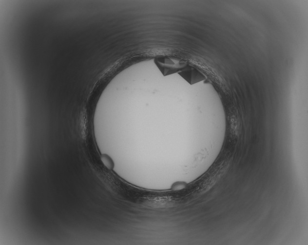 X0000100230304200806201449