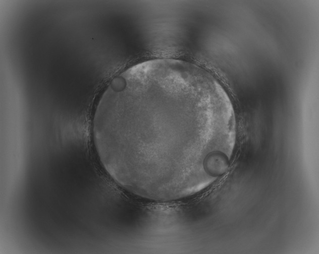 X0000100230305200806201449