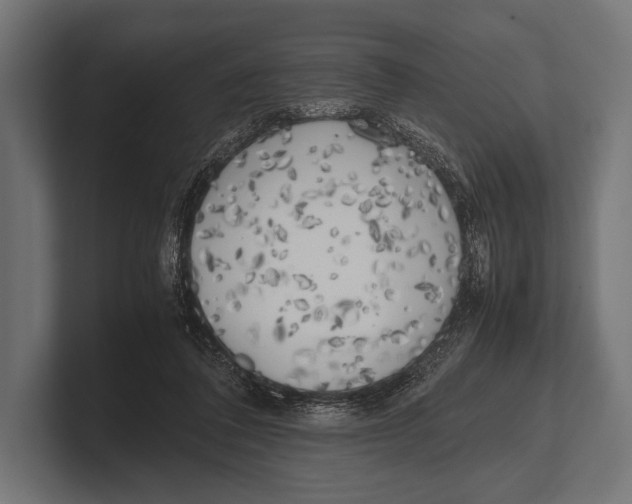 X0000100230308200806201449