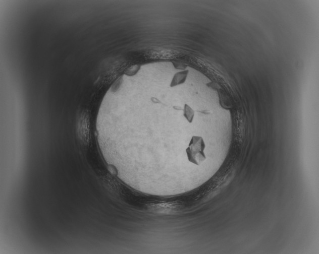 X0000100230312200806201449