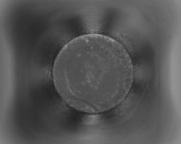 X0000100230313200806201449