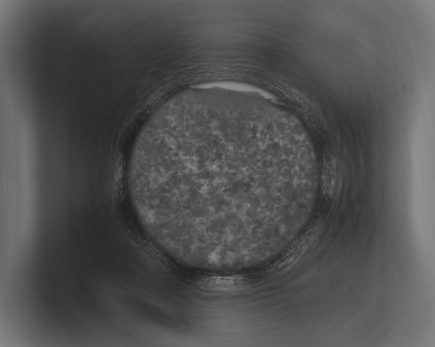 X0000100230314200806201449