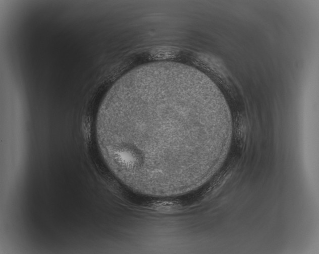 X0000100230315200806201449