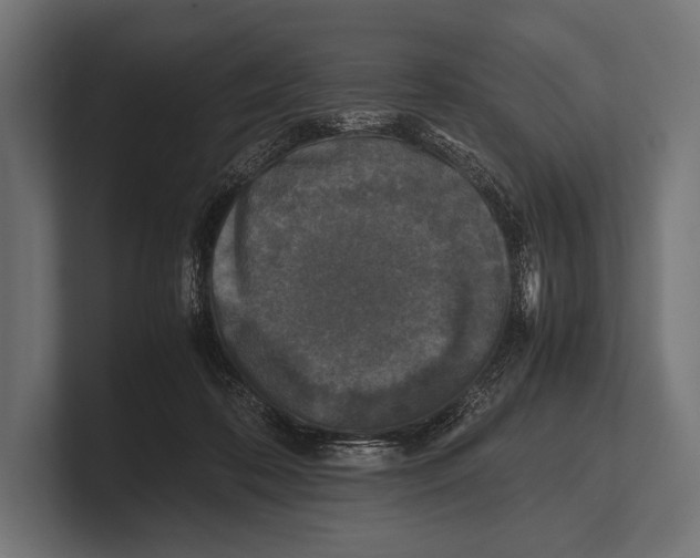 X0000100230316200806201449