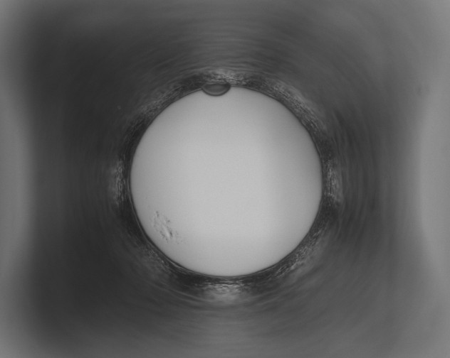 X0000100230318200806201449