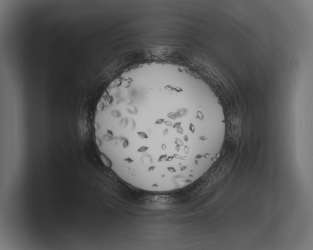 X0000100230324200806201449