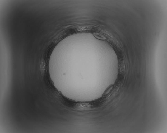 X0000100230327200806201449