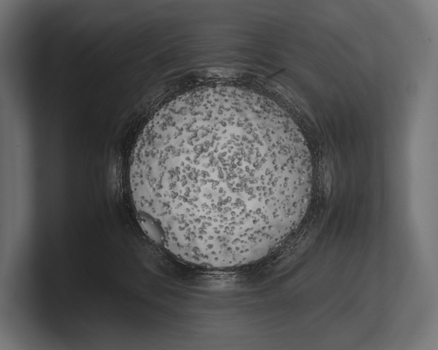 X0000100230328200806201449