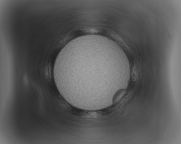 X0000100230330200806201449