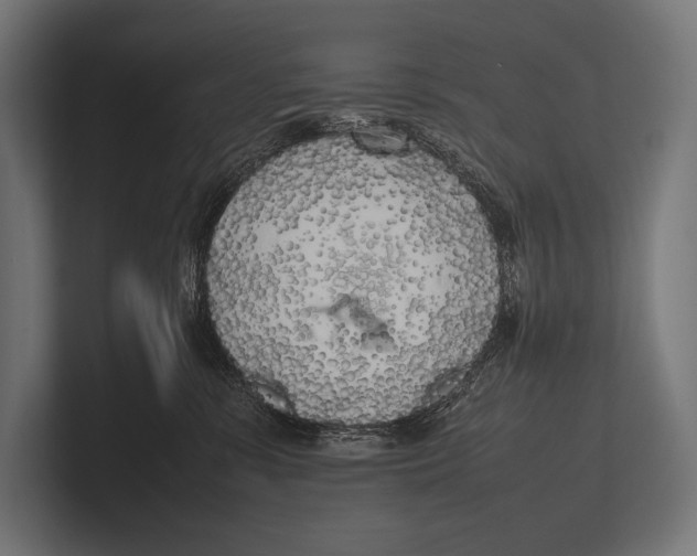 X0000100230331200806201449